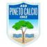 皮内托